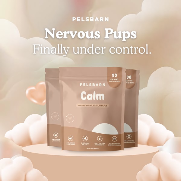 A clean, studio-lit display of calming dog chews featuring soft pastel clouds and heart imagery to convey relief and tranquility.